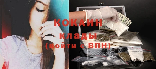 ГАЛЛЮЦИНОГЕННЫЕ ГРИБЫ Абаза