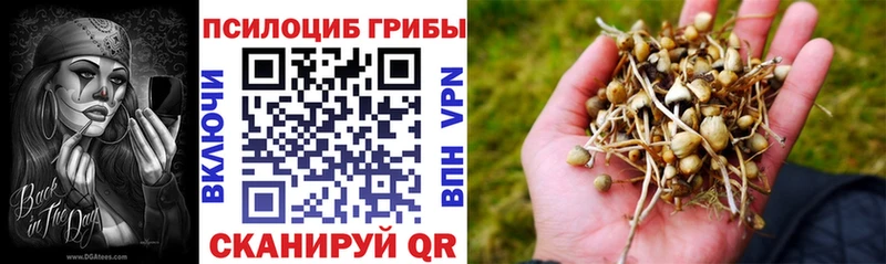 Псилоцибиновые грибы мицелий  Старый Крым 